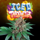 Iced Peach - Perfect Tree - Semillas del huaso