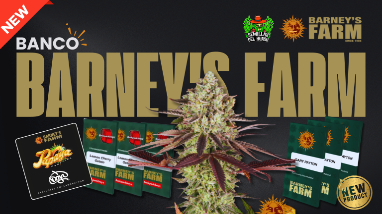 Banco Barney’s Farm - Semillas del huaso