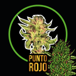 Punto rojo
