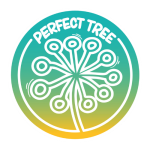 Perfect Tree - Semillas del huaso