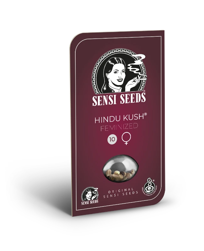 0000143_hindu-kush-feminized-seeds_800 Hindu kush (x3) - Sensi Seeds - Remate del huaso - Imagen 1