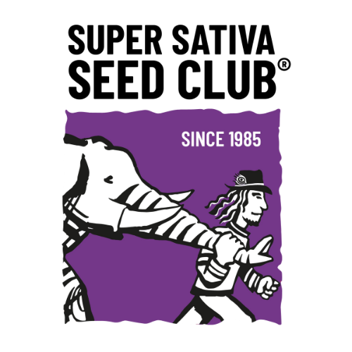 Super sativa seeds