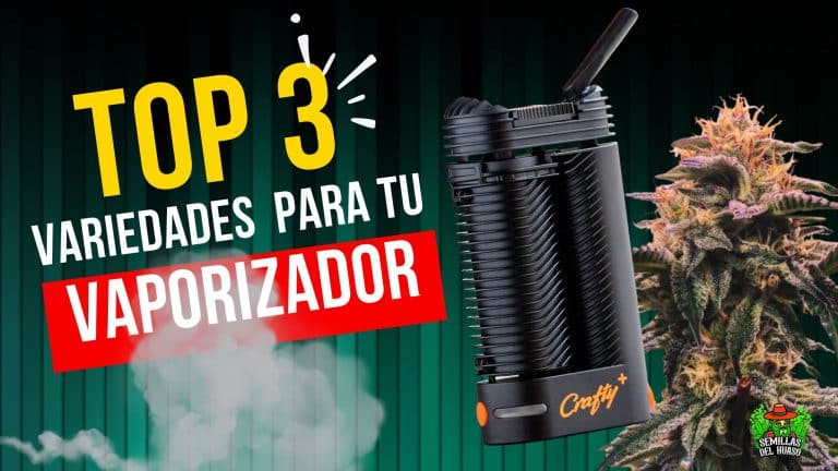 VAPORIZADOR