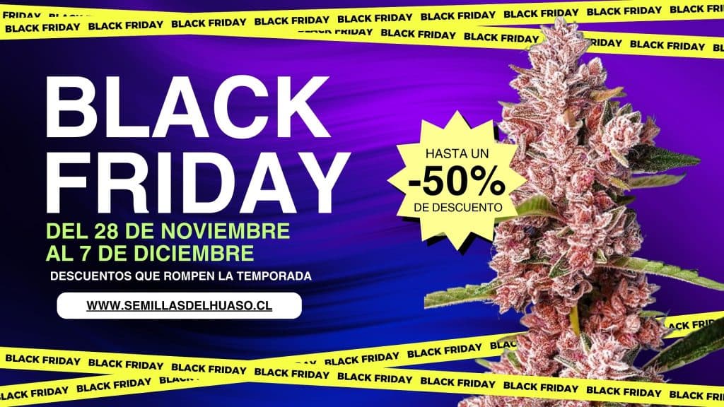 black friday 2025 - semillas del huaso