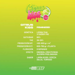 Citrus Kiss Fem - BSF Seeds - Imagen 3