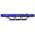 LED Quantum Lite 240