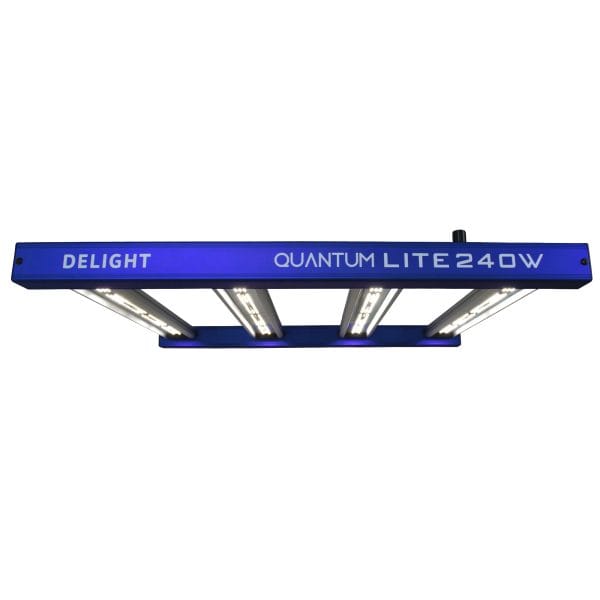 LED Quantum Lite 240