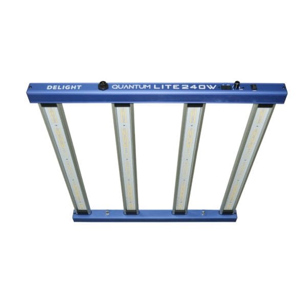 LED Quantum Lite 240