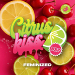Citrus Kiss Fem - BSF Seeds - Imagen 2