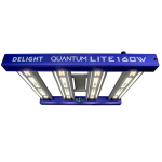 LED Quantum Lite 160