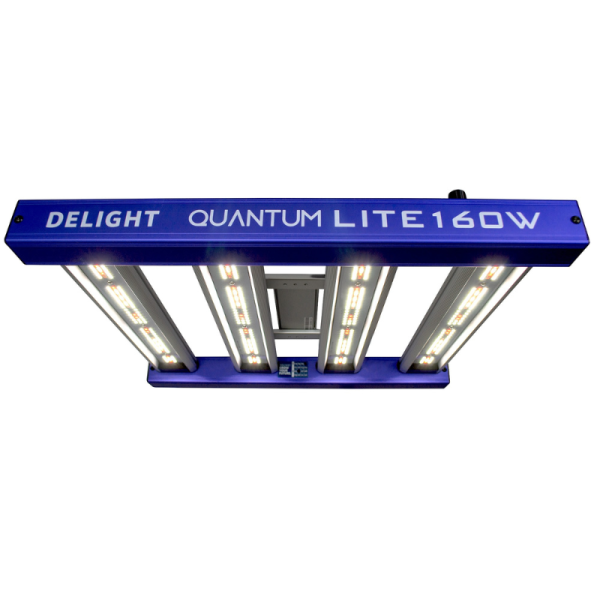 LED Quantum Lite 160