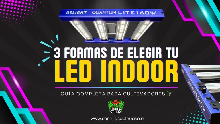 LED INDOOR