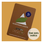 Northern Lights Fem - Pyramid Seeds - Imagen 2