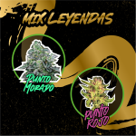 Mix leyendas auto