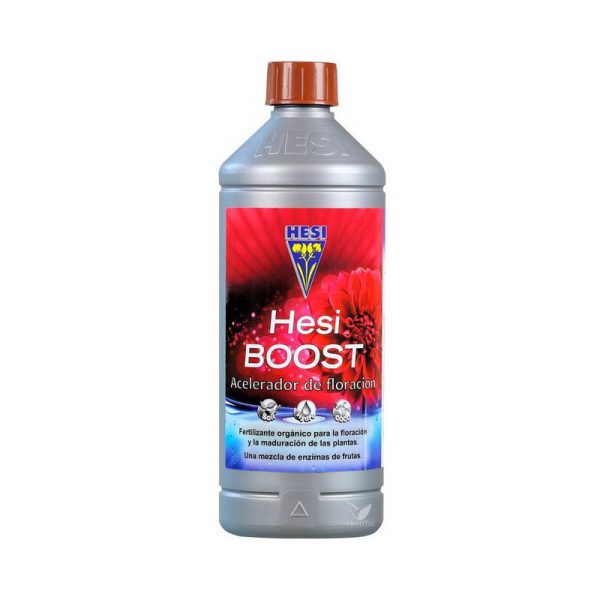 Hesi boost