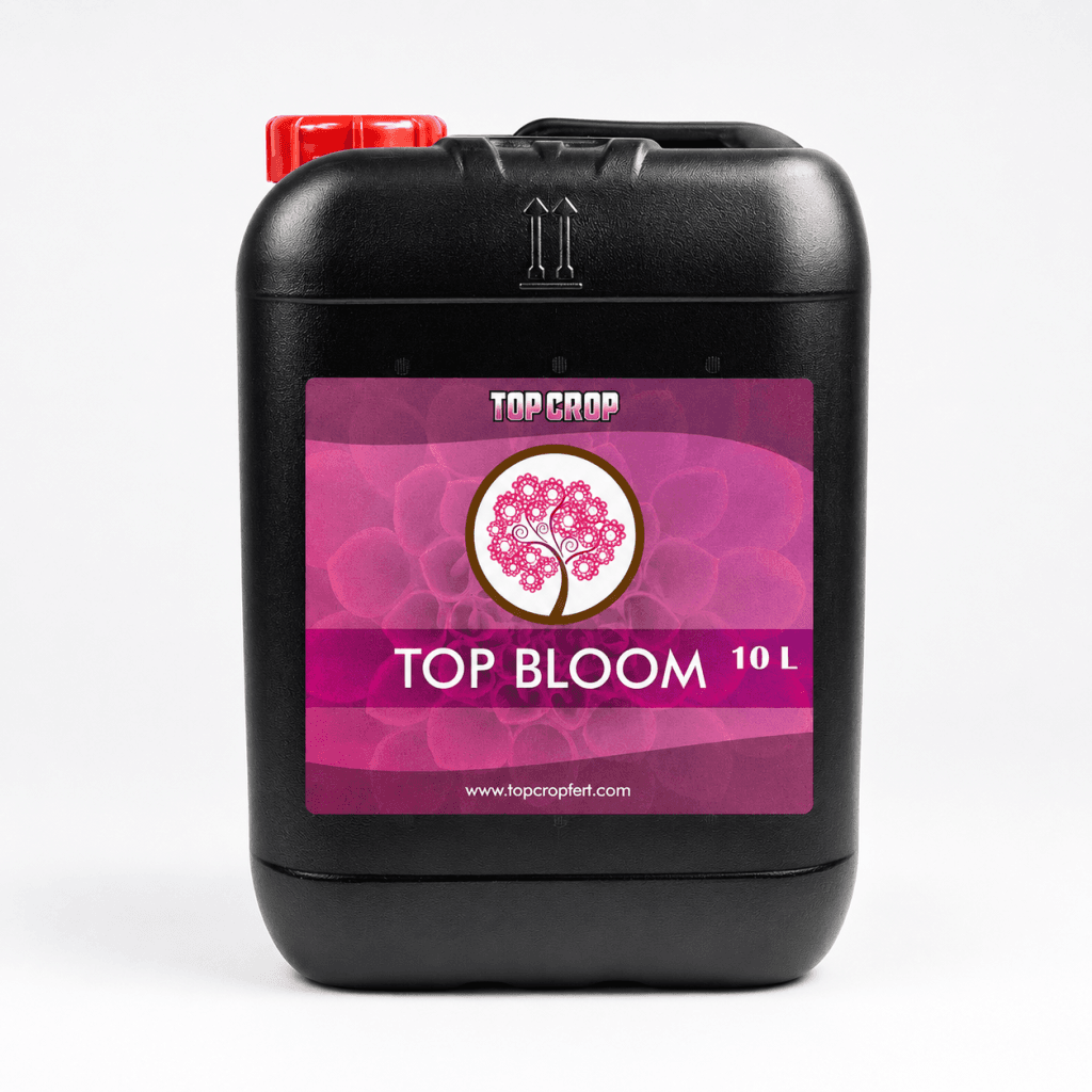 top bloom bidón