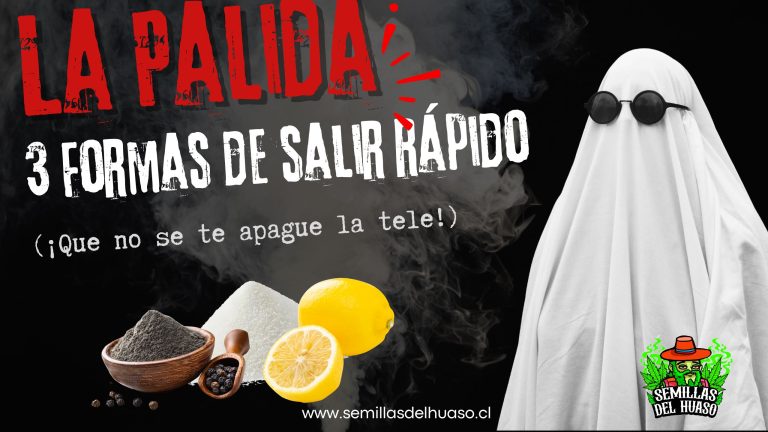 La Pálida 3 Formas de salir rápido