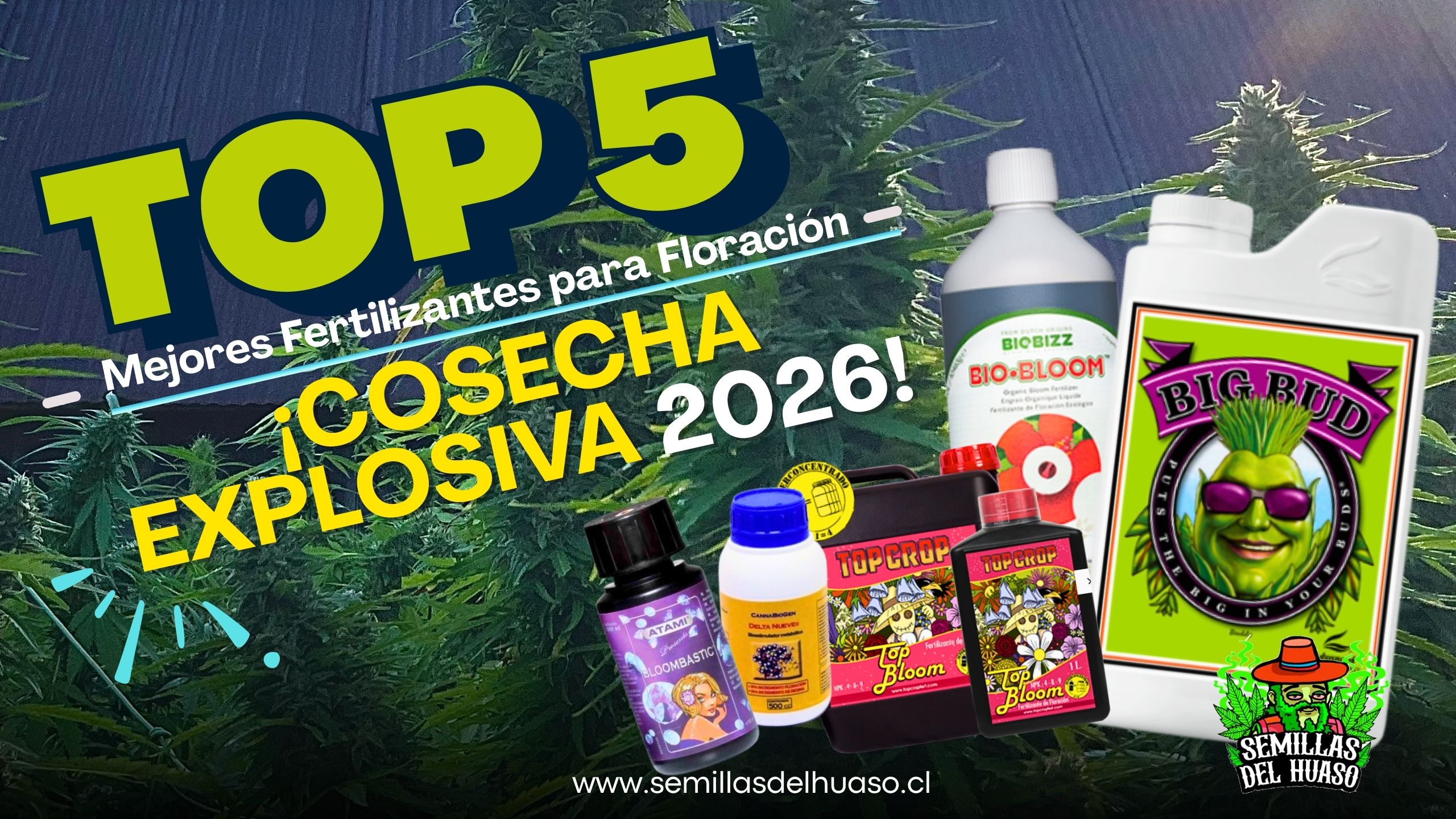 Mejores fertilizantes para floración