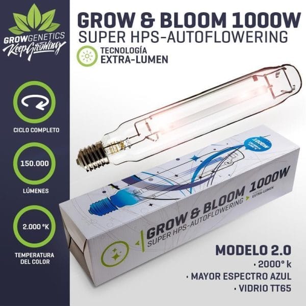 Ampolleta mixta grow genetics