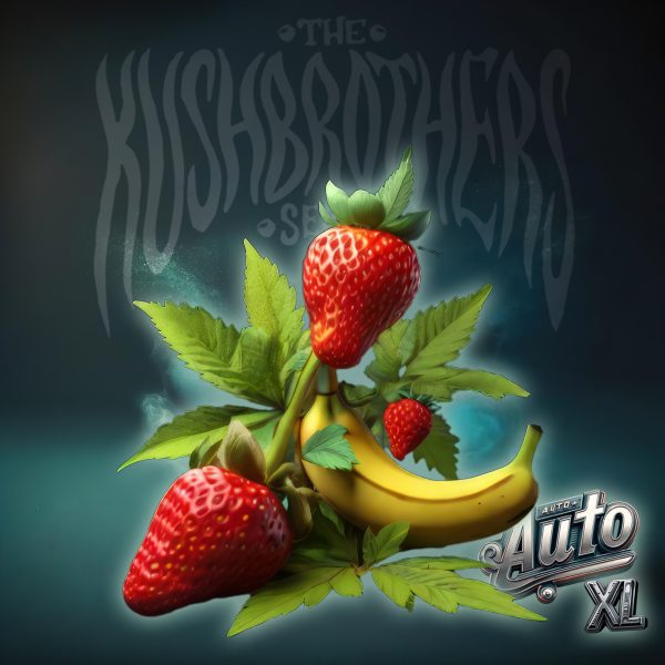 auto strawberry banana xl