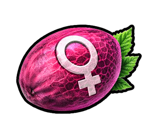 Semillas Feminizadas de Alta Calidad | Semillas del Huaso