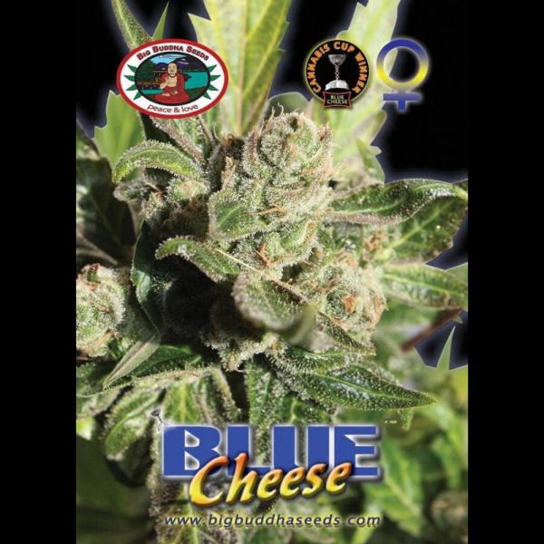 blue cheese