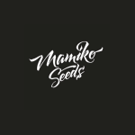 2x1 Sister Cookies Fem (x3) - Mamiko Seeds - Remate del Huaso - Imagen 2