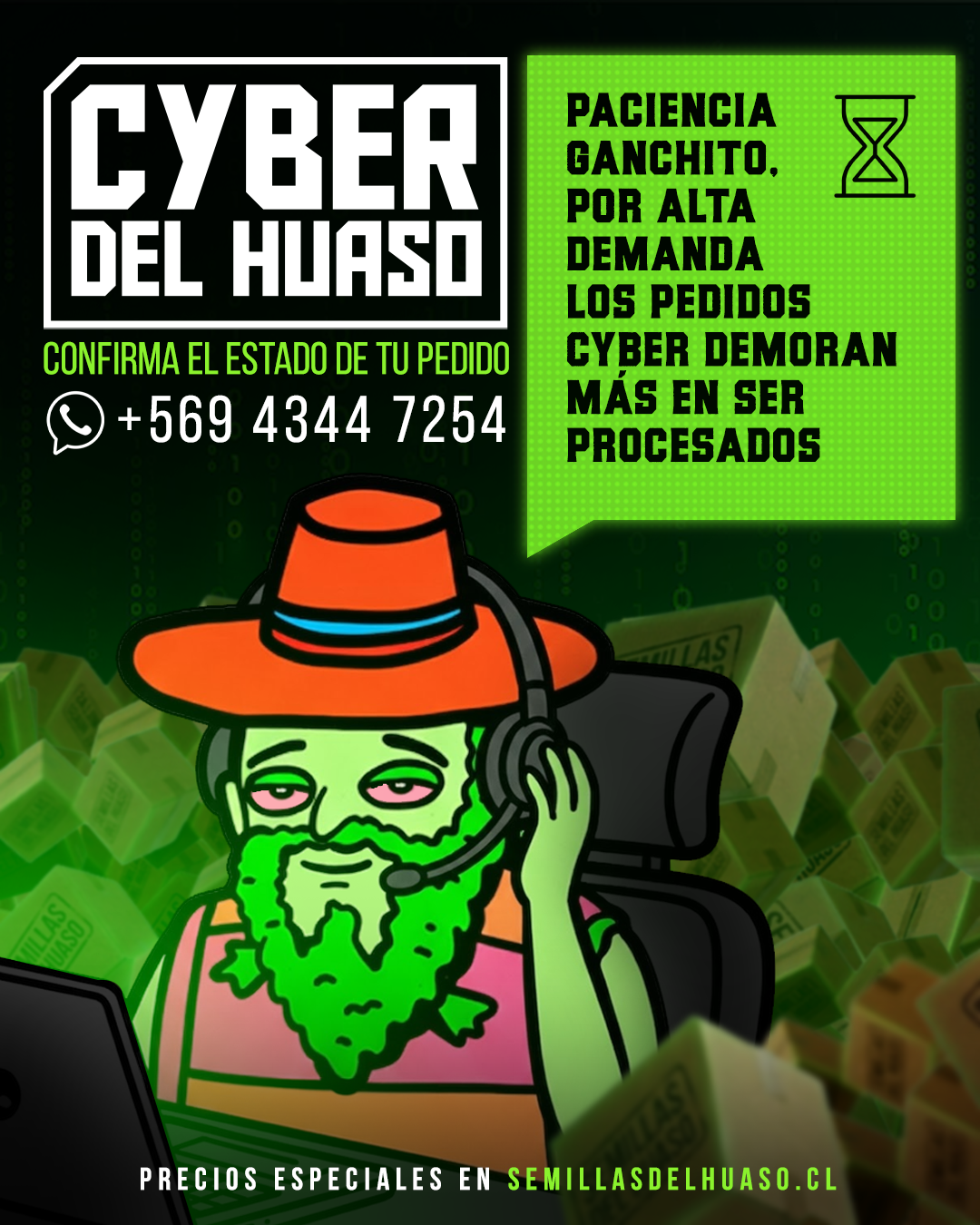 cyber del huaso