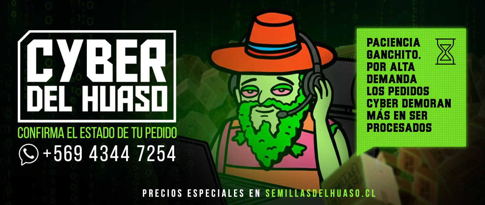 cyber del huas0
