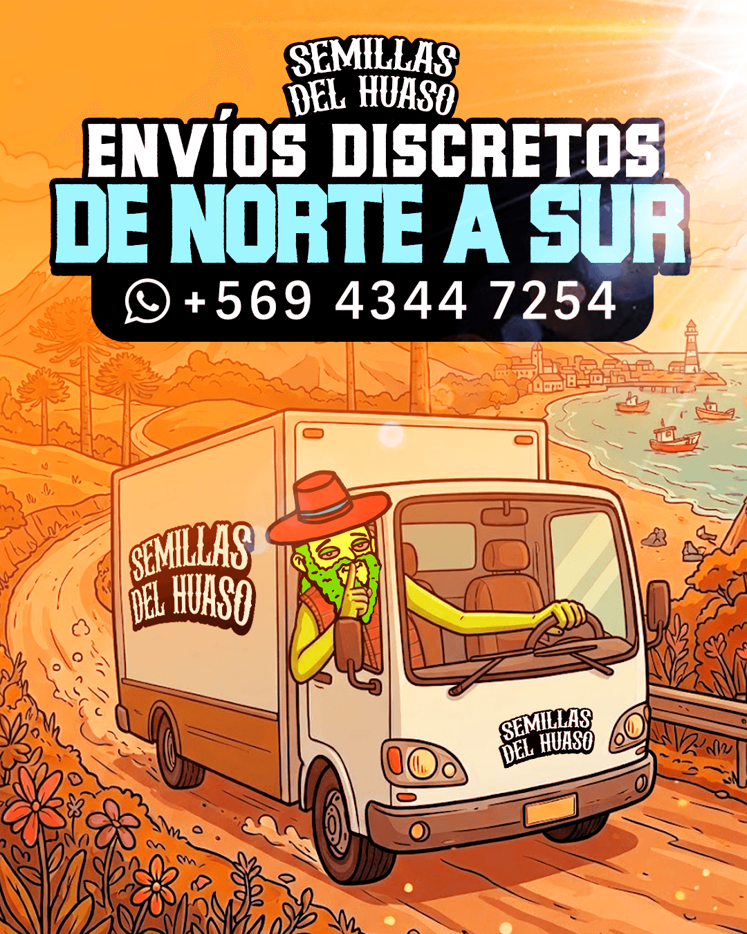 envios a todo chile