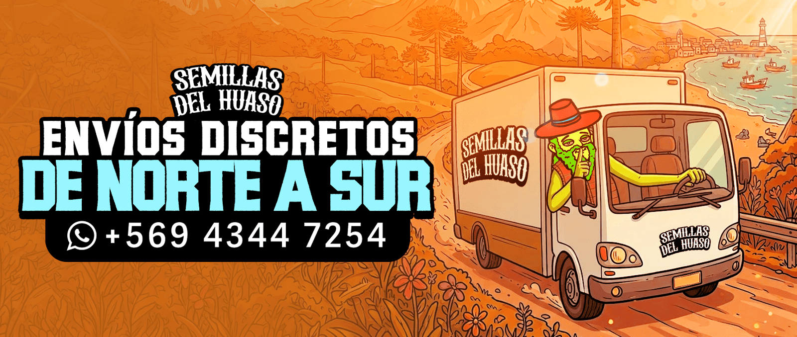 envios discretos sdh a todo chile