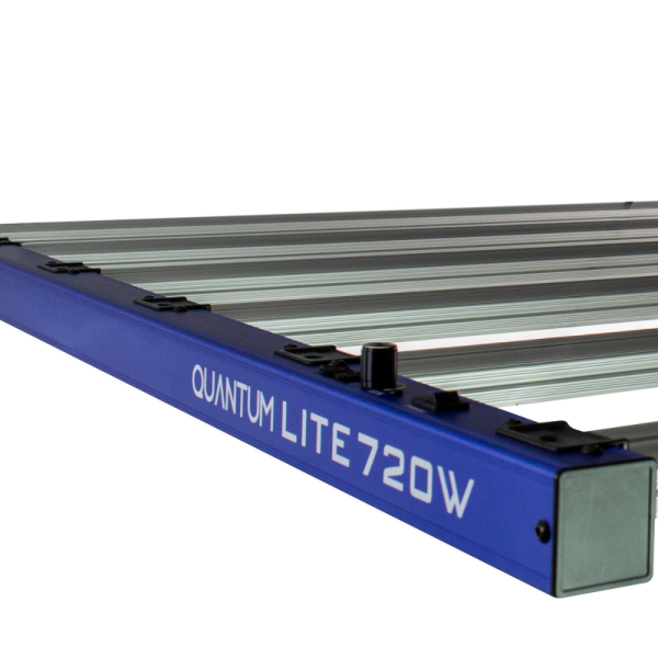 LED Quantum Lite 720