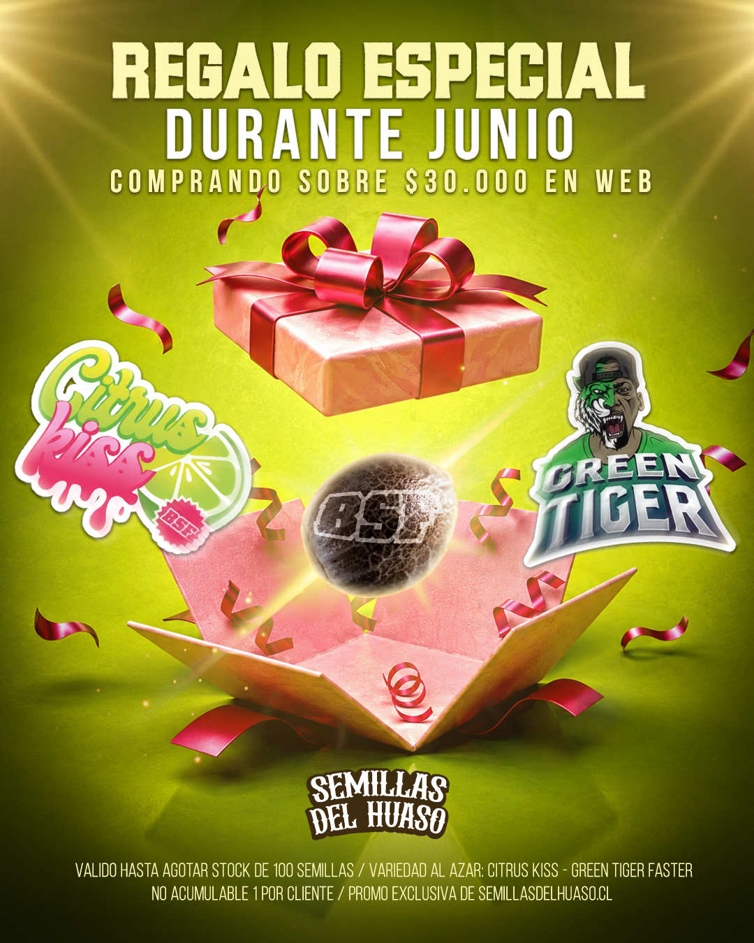 regalo junio WEB