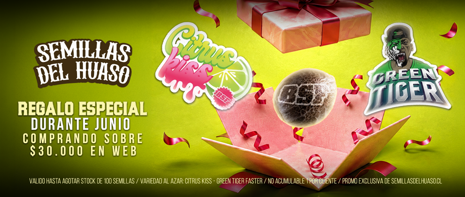 regalo web junio