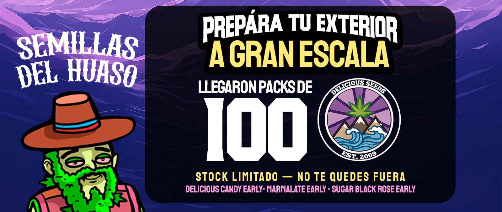 sugar black rose venta en chile