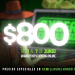Cyberday Semillas del Huaso - $800