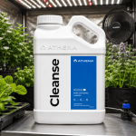 athena cleanse