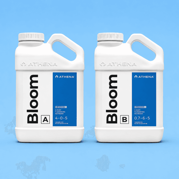 pack abonos bloom athena