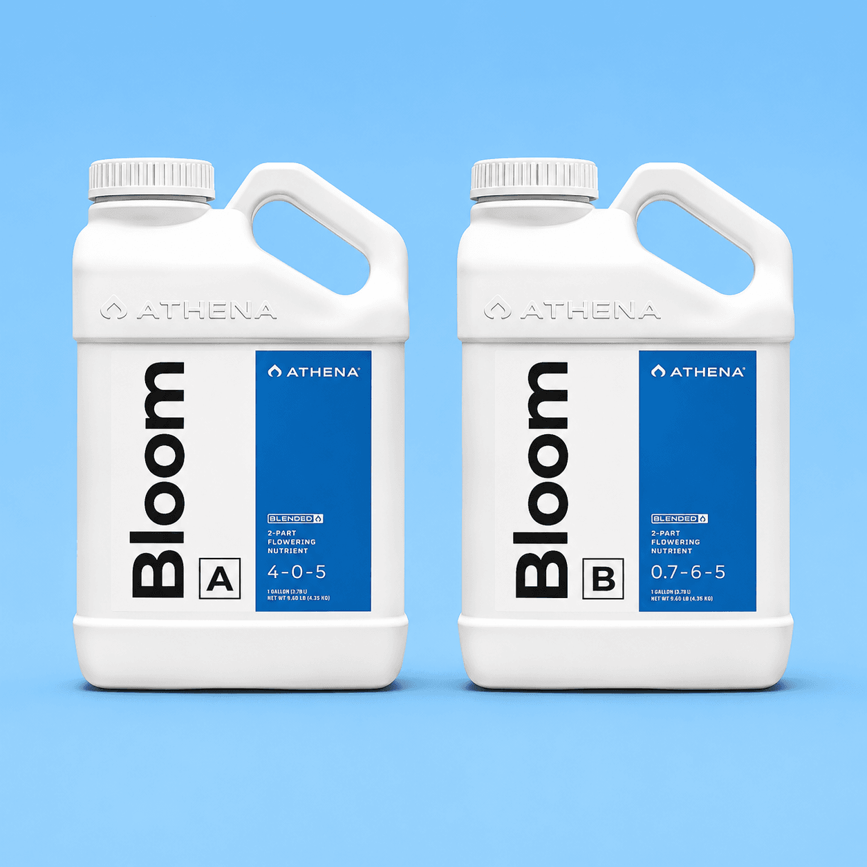 pack abonos bloom athena pack abonos bloom athena