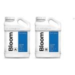 pack abonos bloom athena