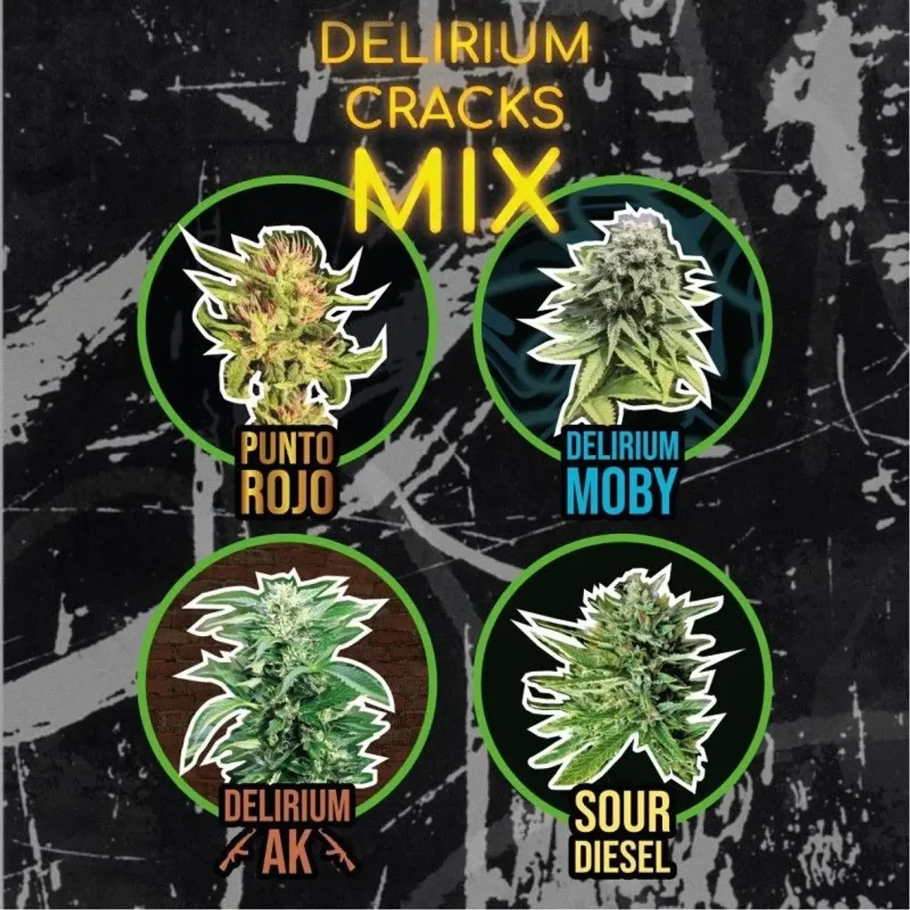 Mix delirium crack auto